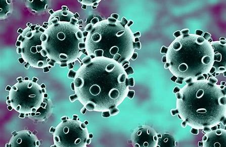 Coronavirus Disease 2019 (COVID-19) Information
