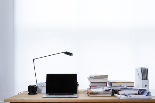 Character and Fitness Disclosures: Professional License Discipline